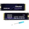 Kingston nGff m.2 1Tb NV2 G4x4