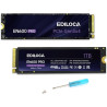 Kingston nGff m.2 1Tb NV2 G4x4