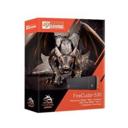 Kingston nGff 1Tb KC3000 NVMe