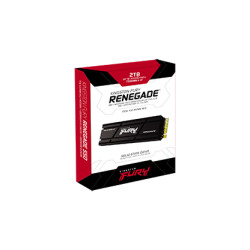 Kingston nGff 2T FurY Renegade