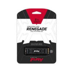 Kingston nGff 2T FurY Renegade