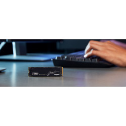 Kingston nGff m.2 2Tb NV2 G4x4