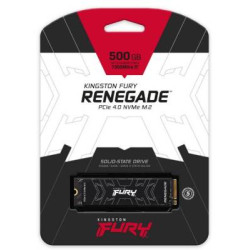 Kingston nGff 500G FurY Renega