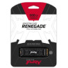 Kingston nGff 500G FurY Renega
