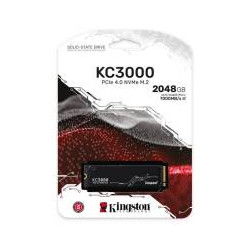 Kingston nGff 500G FurY Renega