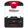 Kingston nGff 500G FurY Renega