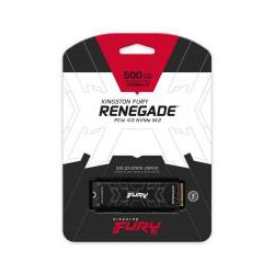 Kingston nGff 500G FurY Renega