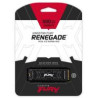 Kingston nGff 500G FurY Renega
