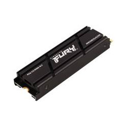 Kingston nGff 500G FurY Rene K