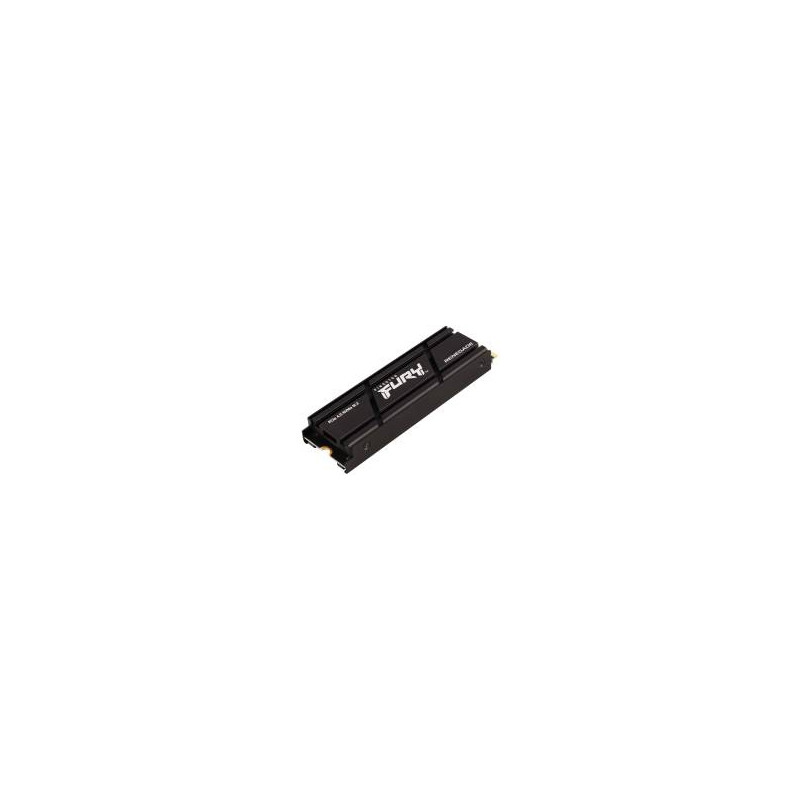 Kingston nGff 500G FurY Rene K