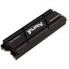 Kingston nGff 500G FurY Rene K