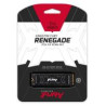 Kingston nGff 500G FurY Rene K