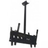 Aavara D9250 ceilingmount dual