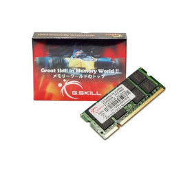 G.skill Nb 2G Ddr2 667 cl 5