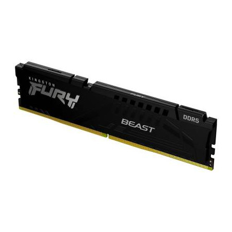 F556C36BBE 16 D5 5600 Beast 16