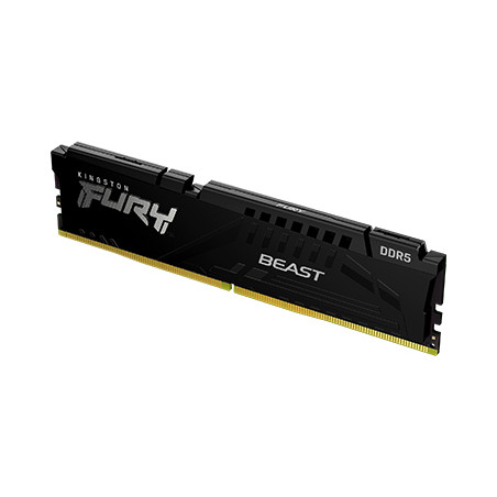 KF552C40BB 32 D5 5200 Beast