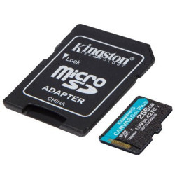 SDCG3 256GB miCrosdXc CanvaGo