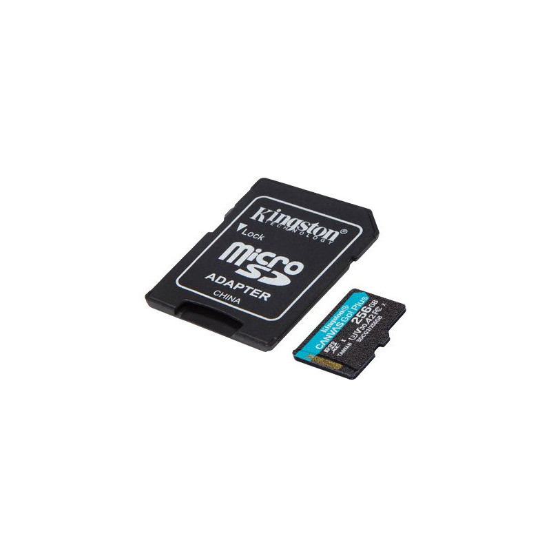 SDCG3 256GB miCrosdXc CanvaGo