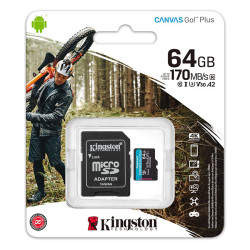 SDCG3 256GB miCrosdXc CanvaGo