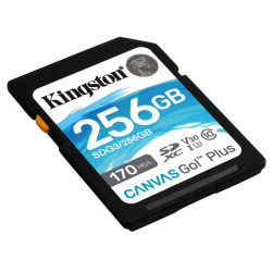 SDG3 256GB sdXc CanvasGo170 90