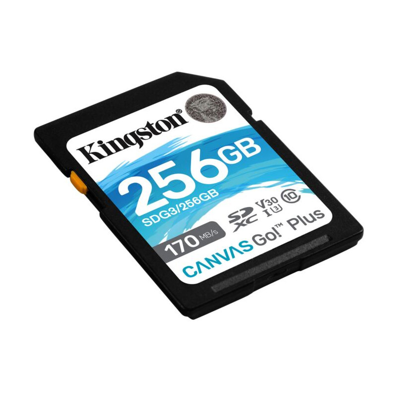 SDG3 256GB sdXc CanvasGo170 90