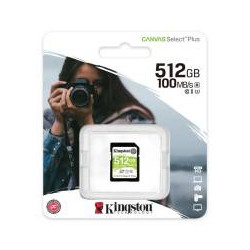 SDS2 256GB sdXc Canvas SelectP