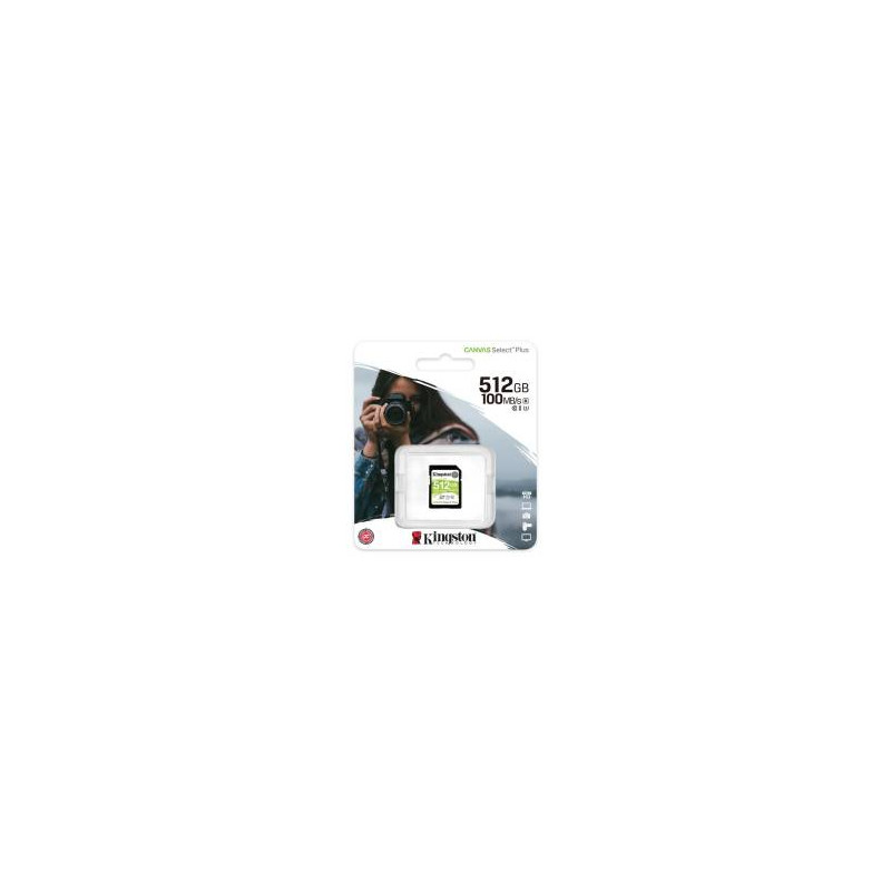 SDS2 256GB sdXc Canvas SelectP