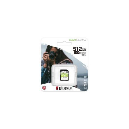SDS2 256GB sdXc Canvas SelectP
