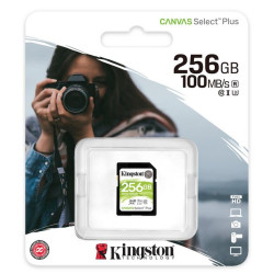 SDS2 256GB sdXc Canvas SelectP