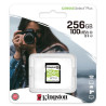 SDS2 256GB sdXc Canvas SelectP