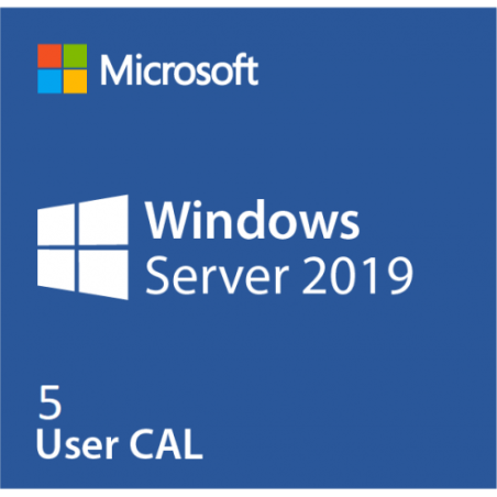 Ms Dsp WinSer 2019 Cal 5Users