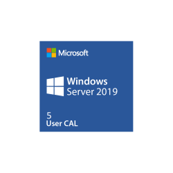 Ms Dsp WinSer 2019 Cal 5Users