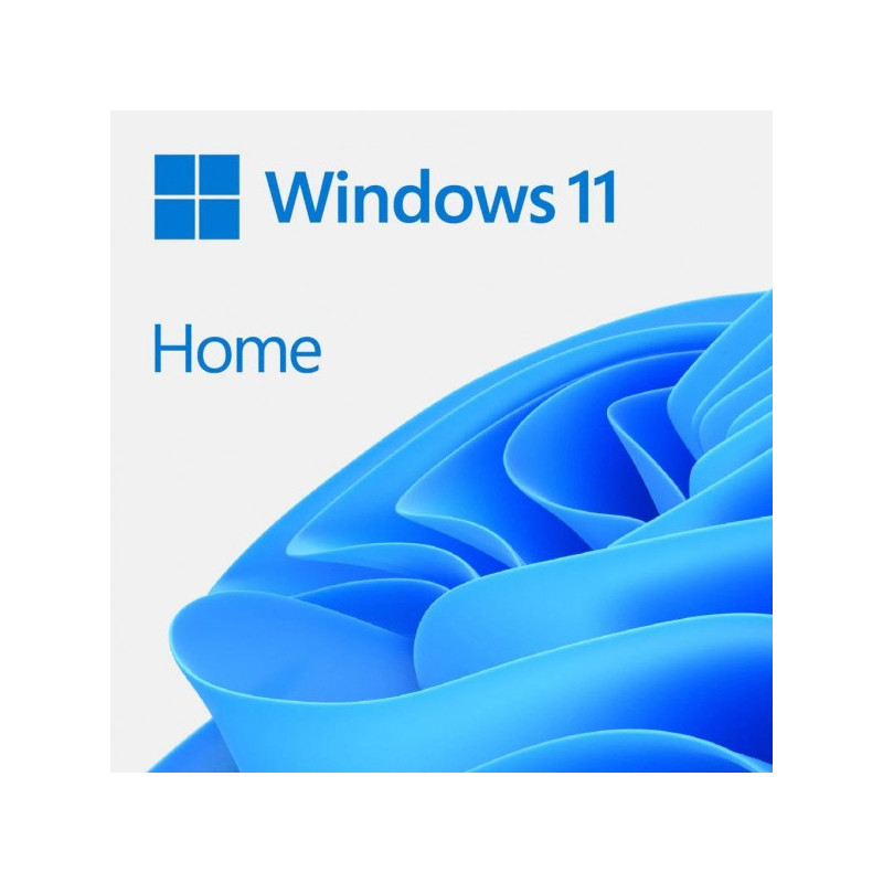 Ms Win11 Home Dsp 64bit