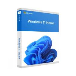 Ms Win11 Home Dsp 64bit