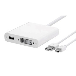 MiniDisplayPort  Dvi