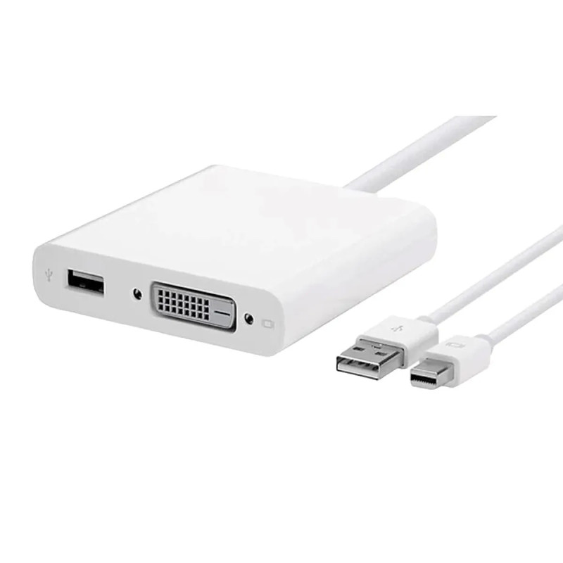MiniDisplayPort  Dvi