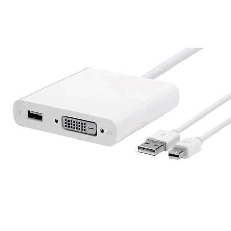 MiniDisplayPort  Dvi