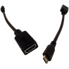 MiniDisplayPort  Dvi