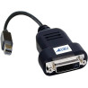 Sapphire Mini Dp  Dvi  Active