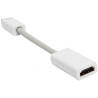 Mini DisplayPort  DisplayPort