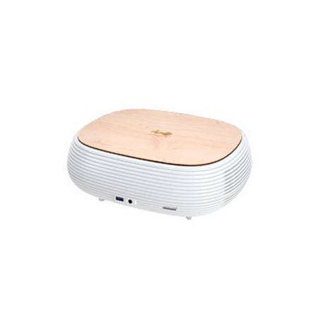 In win B1 White 200w m itx