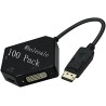 HDMI to Dvi Convertor cable
