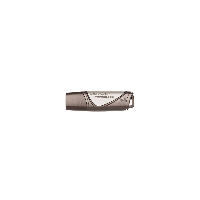 Kingston dtWS 128Gb WorkSpac