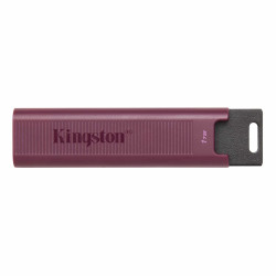 Kingston 1T dt Max type C gen2
