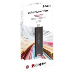 Kingston 1T dt Max type C gen2