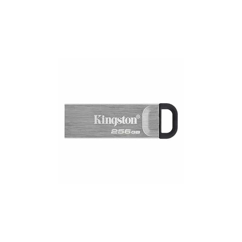 Kingston dtKN 256Gb Kyson u3 1