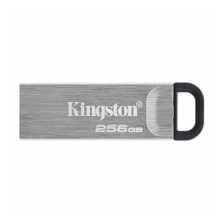 Kingston dtKN 256Gb Kyson u3 1