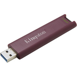 Kingston 256G dt Max t C gen2
