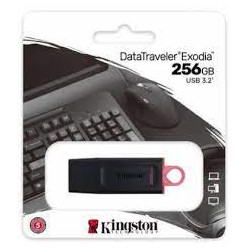 Kingston dtX 256 eXodia t a g1