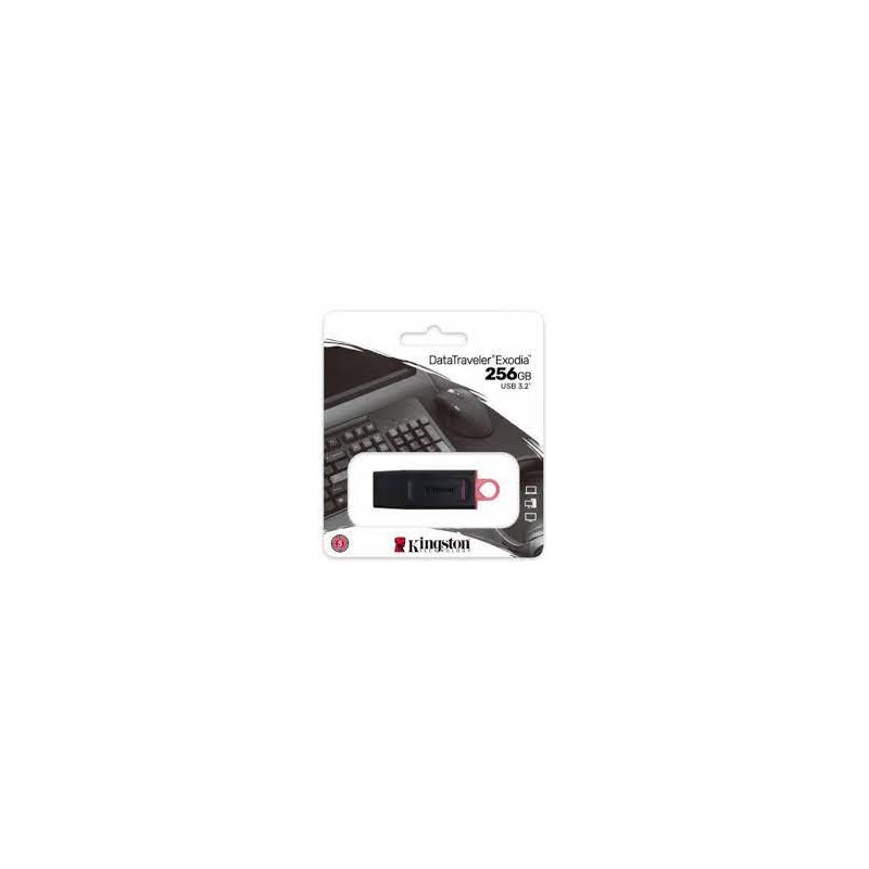 Kingston dtX 256 eXodia t a g1